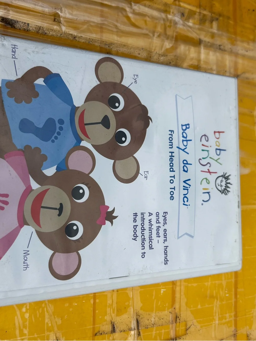 Baby Einstein World Animals DVD - White (4DVDS)